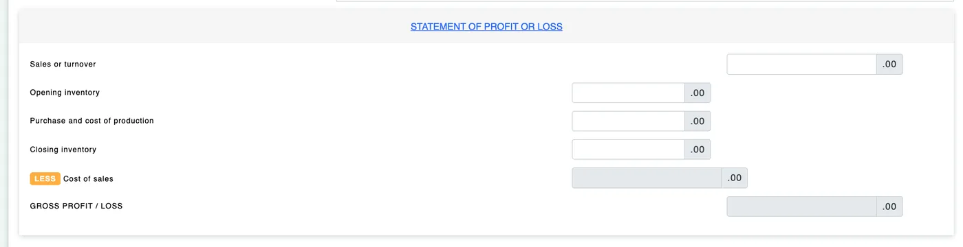 e-B Statement of Profit or Loss section with sales or turnover field